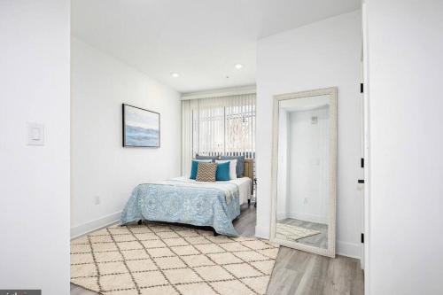 Amazing Capital Hill APT , Step away Gym, shopping in Washington, USA