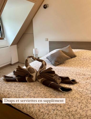 Gîte de Mende 3