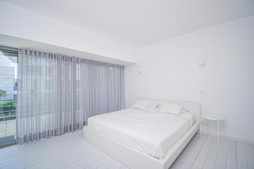 Spacious VIlla with Swiming Pool and Terrace Spacious VIlla with Swiming Pool and Terrace