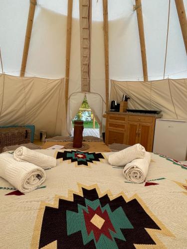 Tipi Shoshoni