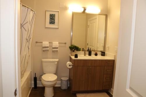 Porsche Castle 1bd 1bath Suite w/ Pool Gym Free Parking in Nashville, USA