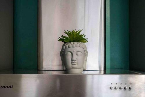 Studio cosy/Parking/Jardin, Тулуза (фото 3)