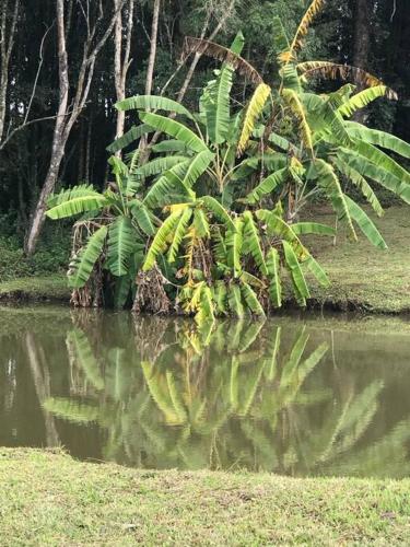 Casa do pescador, na rota do Cristo Protetor