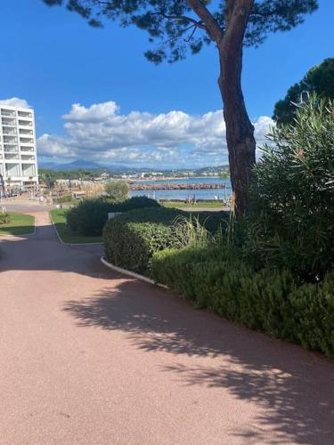 T2 résidence les pieds dans l'eau.