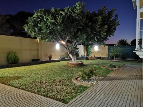 Suite Huelva garden