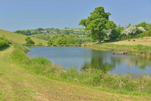 Spacious country retreat in the heart of Devon. in Copplestone