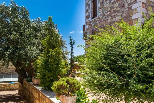 Liokrina Luxury Villas - image 8