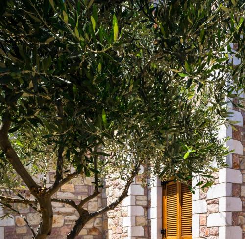 Liokrina Luxury Villas - image 5