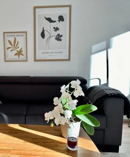 Modernes Zwei-Zimmer-Apartment Chemnitz - Kaßberg in Chemnitz, Deutschland