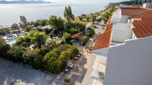 Hotel Summery - image 12