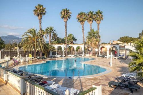 Camping - Argelès-sur-Mer -  - Camping le Neptune - Image #1