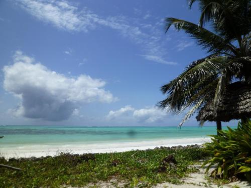 Paradise Beach Bungalows