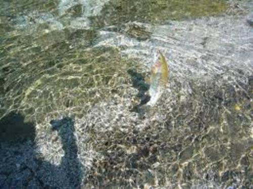 Serenity & Adventure in Dreamy Locale near Bled