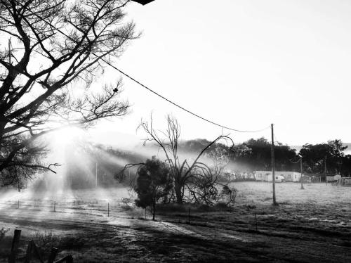 Mountview Wines and Accommodation - Diamondvale