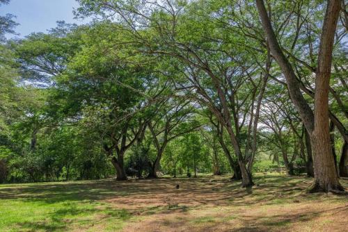 Hermosa finca campestre en San Jerónimo