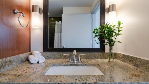 CozySuites TWO Stunning 1BR 1BA Apartments SKY POOL - image 3