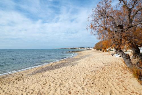 Casa vacanze le barche due