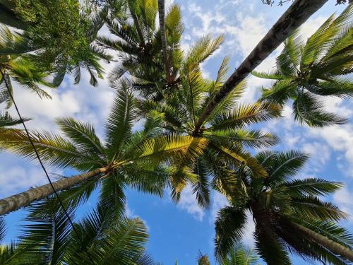 마즈나 게스트하우스 (Maznah Guest House) in 체러팅