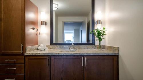 CozySuites TWO Classy 1BR Apartment Elm Street - image 11