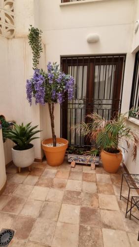 Deluxe Apartment room in Maremar Suites