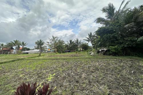 Lumbung Langit Bali house & hostel