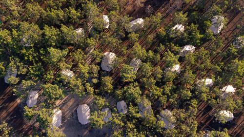 Foto - Kampaoh Vagueira