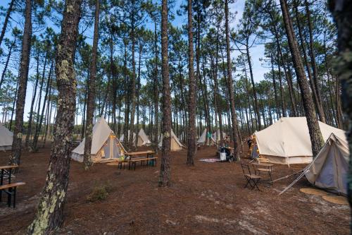 Foto - Kampaoh Vagueira