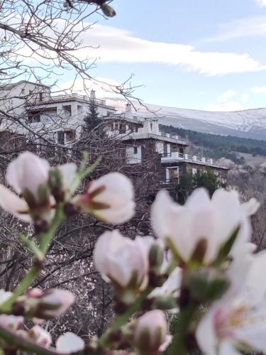 . La Posada del Altozano