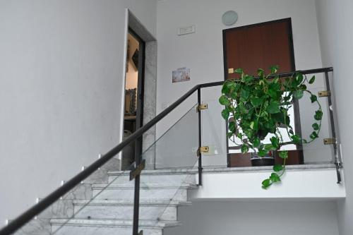 Bovisa House - image 14