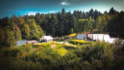 PINIALE GLAMPING TRIB - Hotel - Bughea de Jos