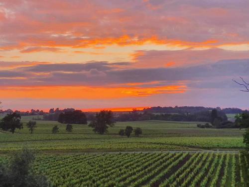 Château Fleur de Roques - Puisseguin Saint Emilion