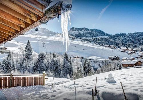 Chalet Sicoria - OVO Network - main image