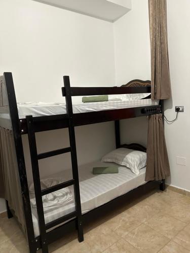 Hanna's Hostel - image 3