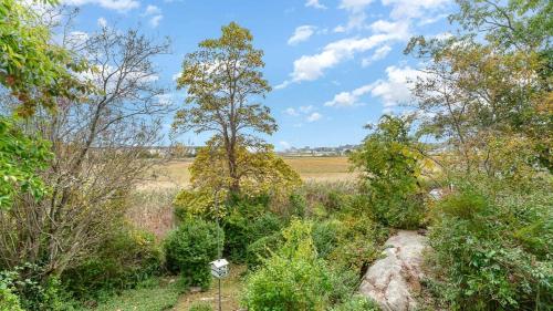 Walk To Good Harbor OCEAN VIEWS Open All Year - image 2