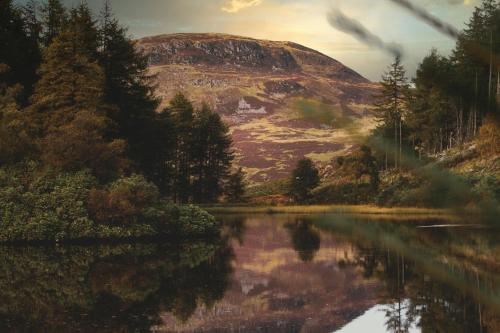 Cairngorms Cottage