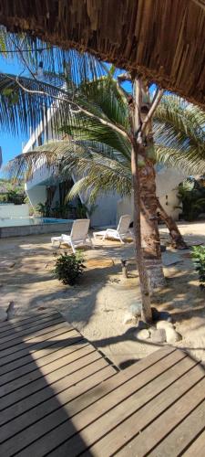 Pacifico El Paredon in El Paredon Buena Vista