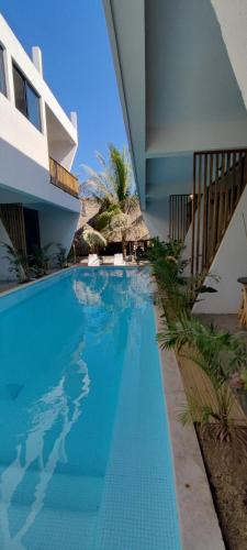 Pacifico El Paredon in El Paredon Buena Vista