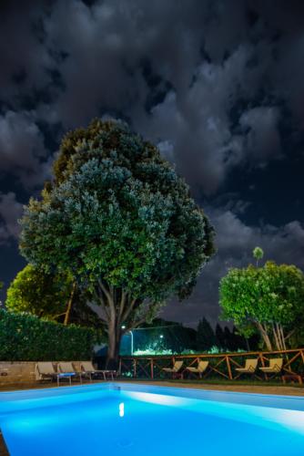 BorgoCuore, Todi (Foto 6)