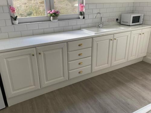 Kitchen, Johnsville House in Carlow