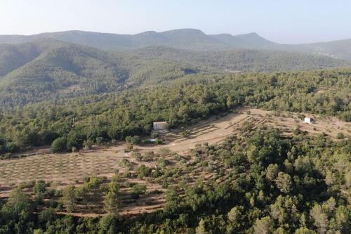 Cabanon Provençal - Location saisonnière - Cuers