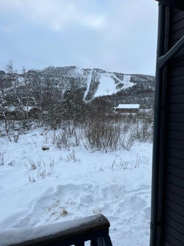 Kilátás, Rett ved Raudalen Alpinanlegg in Városközpont