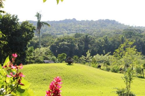 Nabitunich, San Ignacio (fotografie 11)