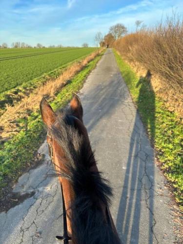 Kuschelige Ferienwohnung auf Reiterhof in Breitenfelde