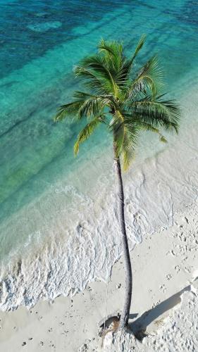 Island scuba inn photo 3