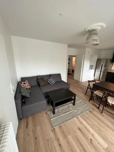 Beautiful flat (metro 8) 10min to paris city center, Maisons-Alfort (foto 7)