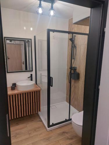 Dream Apart B Żeromskiego 15, Szklarska Poręba (foto 4)