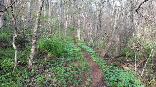 Mountain Home Bed & Breakfast - image 11