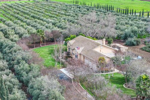 Beautiful Home with Hot Tub on Byron Olive Farm