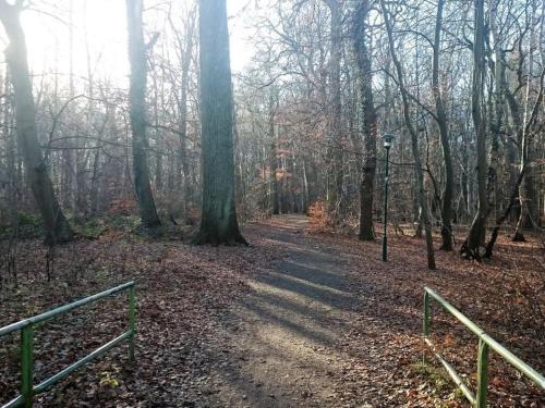 "La mer" Haus Windrose "La mer" Haus Windrose