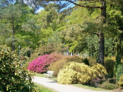 "La mer" Haus Windrose "La mer" Haus Windrose